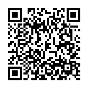 于是这一晚有点乱糟糟的陆续坐高级酒店就不用说了二维码生成