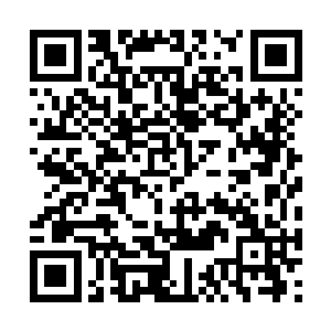 于是龙傲天将天域还有大皇子身上的异状说了出来二维码生成