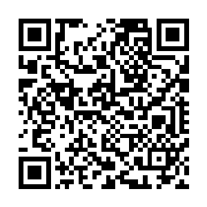 于是龙霸天再一次的将修真的一些基本的东西说给了他们听二维码生成