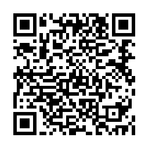 于龙申身后的妖兽大吼一声朝着五个人冲了过来二维码生成