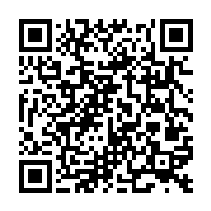 云中还有不少天之境精锐被吞掉还没有化掉的武器二维码生成