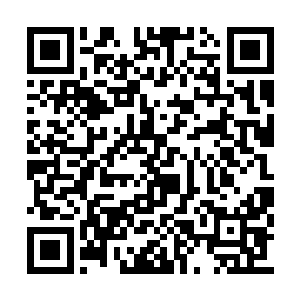 云二把注意力放在猴子一样乱蹦乱跳的狄咏身上二维码生成