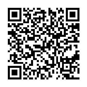 云二正在被陆轻盈教育的向大宋士子性格严重靠拢二维码生成