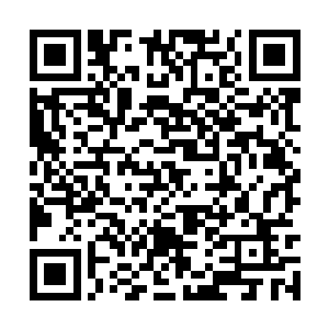 云二脱掉身上的白皮裘随手扔给跟上来的大伙计道二维码生成