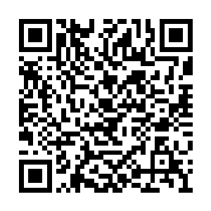 云倾的父亲也就是黑帮的前任老大被人暗算过世二维码生成