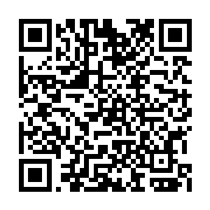 云傲天回头看了看身后不远不近跟着的一群随从二维码生成