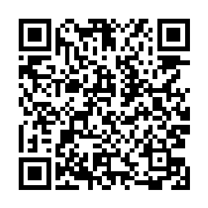 云冰心和李破晓不顾自己能量正在给大阵吸收而全力施为二维码生成