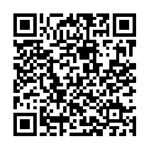 云凤大睁着眼睛希望从张潇晗的表情中判断出什么二维码生成