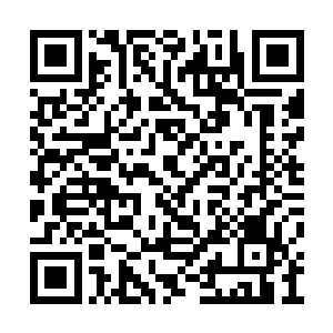 云千里的手法明显将这张符箓的威力减少了一些二维码生成