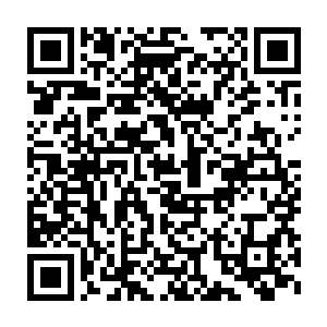 云天一脸狞狰的张开布满了鲜血的嘴巴狠狠的向着手中的大鱼咬去二维码生成