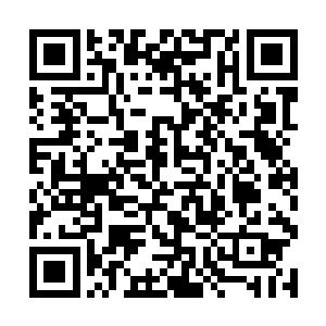 云天熊哪里想到小小一道金光会变成这样庞大的东西二维码生成