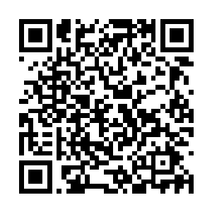 云宝宝终于借着这次天道释放达到了半步先天仙宝二维码生成