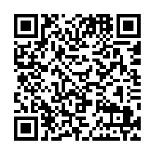 云家彪悍的家将想揍那个挺着脖子出言讥讽夫人的城门官二维码生成