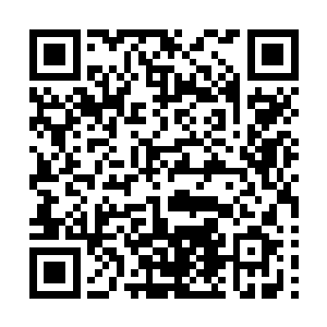 云家的家将对于突袭的敌人采取的方式永远是杀掉之后再说二维码生成