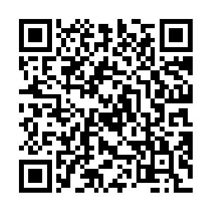 云峥不明白那些人是怎么在战场上吃下那么多的马肉的二维码生成