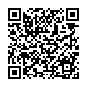 云峥从南方抢回来的珍宝至今还在皇宫宝库里蒙尘二维码生成