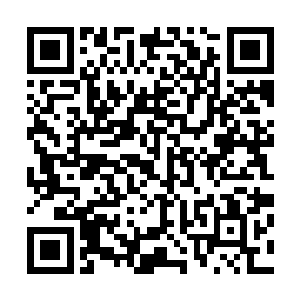云峥唯一能依仗的就是现在好歹还有一个算得上清明的官府二维码生成