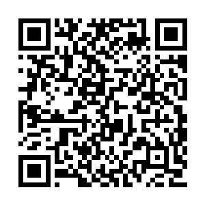 云峥回到竹楼立刻就呈大字型躺在自家的地板上二维码生成