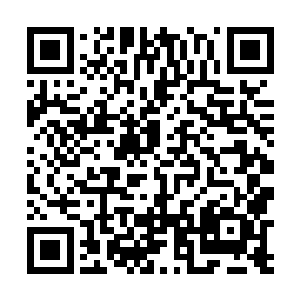 云峥把努力地在模型上找自己东宫位置的赵旭拖过来道二维码生成