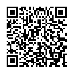 云峥把包好的包子一个个放进笼屉架到蒸锅上伤感的说二维码生成