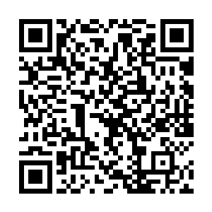 云峥拿着一把铁锹用力的翻搅着油汪汪的红烧肉笑着说二维码生成