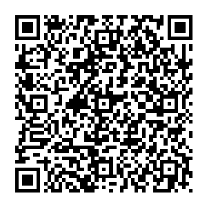 云峥是在得知没藏讹庞偷偷的向辽国倒塌岭节度使司进军之后才晓得这家伙最近为什么会这样安静了二维码生成