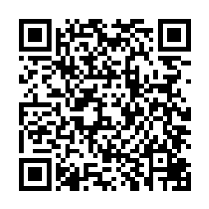 云峥翻看着那两根品相根须完好的人形人参低声埋怨道二维码生成