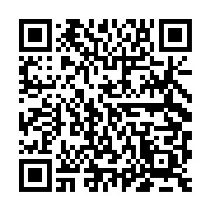 云峥这是要把长毛牛做成一种能够储存的货物运到山外面去售卖二维码生成
