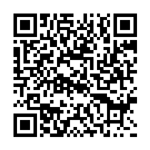 云彩与n哥对于陈易清五人没有教练跟经理表示很惊讶二维码生成