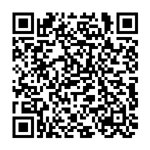 云思凡立马马不停蹄的跑到苏凡蹲在的礼物盒的旁边和林豹一起弄了起来二维码生成