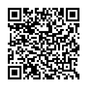 云擎不可能在她离开榆城这几个月就改头换面了二维码生成