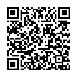 云星坠和少施慧肯定有谁早就给夺取天道连接点二维码生成