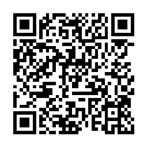 云机子之前在我这里订过两件元代的青花瓷盘子二维码生成