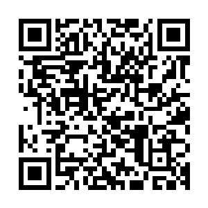 云梦之境的三位始祖身上的血气和生机在这一刻却是飞快的流逝二维码生成