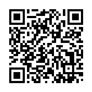 云母战傀却只是一拳又一拳的击出二维码生成