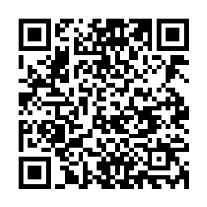 云洞道君就将自己的目光从方凌的身上转移到了璞如道君的身上二维码生成