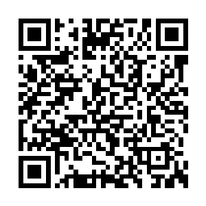 云袖下的玉手已经紧得差点听到关节咔咔作响了二维码生成