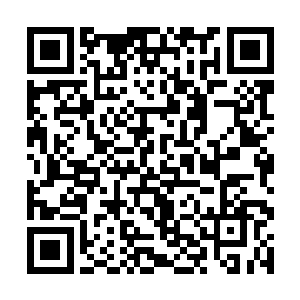 云豹和姜子雄那里将出售给他们星球的费用收了回来二维码生成