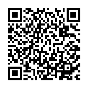 云起……要做魔君……就必须杀她……哈哈哈……哈哈哈……二维码生成