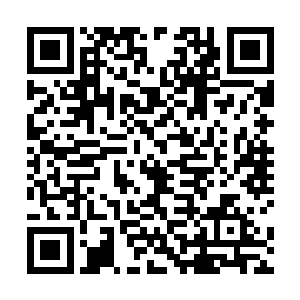 云起舞一开始还不大明白柳仙儿为什么会那么慌张离开二维码生成