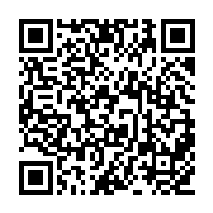 云起舞带着千天和千红前往南域和西域的交界地二维码生成