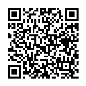 云起舞早就已经习惯南寻风这种对任何事都没有兴趣的样子二维码生成