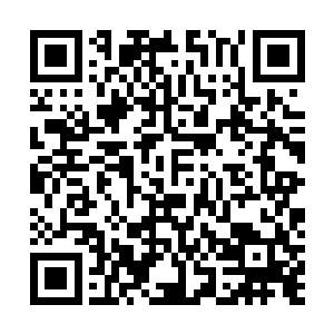 云达不莱梅在主场迎来了他们欧冠淘汰赛中的的对手里昂二维码生成