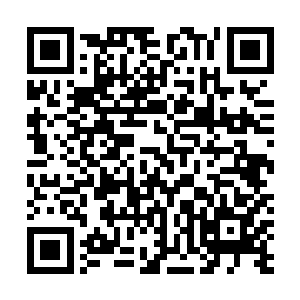 云逸不客气地将人参放入自己随身携带的玉盒之中封存好二维码生成