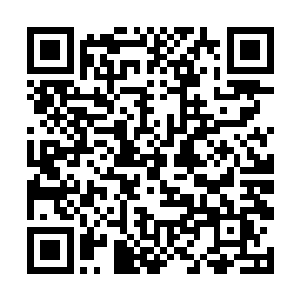 云逸蓦然低声唤出那个一直徘徊在他脑海之中的身影二维码生成