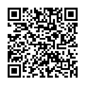 云逸这四个家伙则是非常幼稚的竟然在玩枕头大战二维码生成