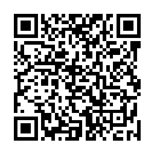 云逸隐隐见到宸王与慕容玥的声音出现在下方的丛林之中二维码生成