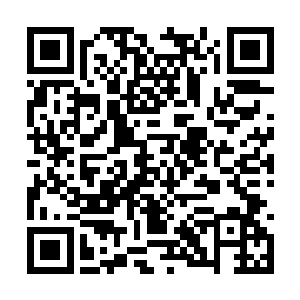 云雾山是介于青山山脉与百药山脉的一个过渡地带二维码生成