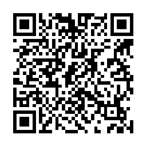 云霆被他这轻蔑的一哼再次激出了原本已经平息下去的火气二维码生成
