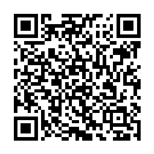 云面一开始是真的想把他带到满是灵兽的悬浮岛区域二维码生成